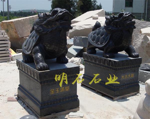 石龙头龟
